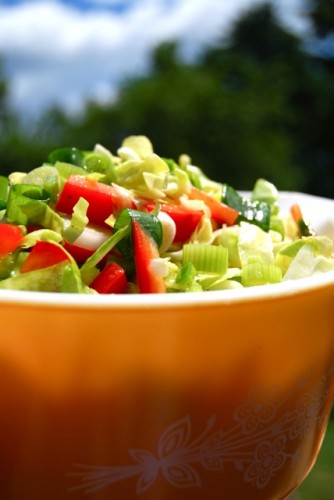 The BEST Sweet & Tangy Coleslaw with JalapeÃ±o and Lime » The Daily Dish
