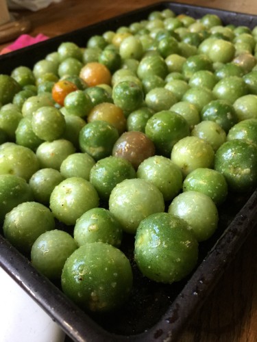 Roasted Green Tomatoes 