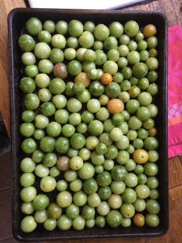 Roasted Green Tomatoes
