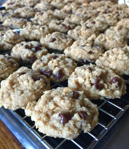 Soft and Chewy Oameal Peanut Butter Chocolate Chip Cookies